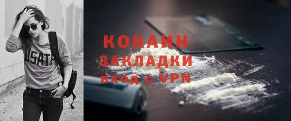 прущий лед Богданович