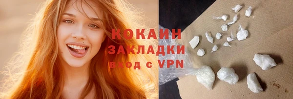 прущий лед Богданович