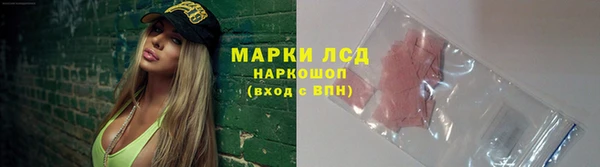 прущий лед Богданович