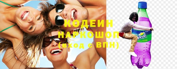 прущий лед Богданович
