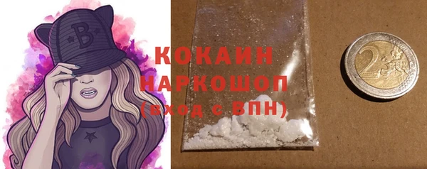 прущий лед Богданович