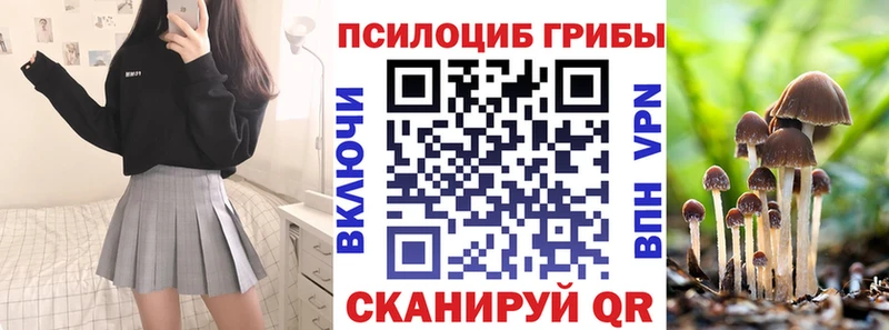 Купить где  Моздок  Псилоцибиновые грибы ЛСД 